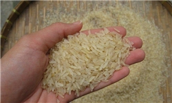 از خریداران تعهد گرفتم برنج‌ها پیش از انقضا مصرف شود