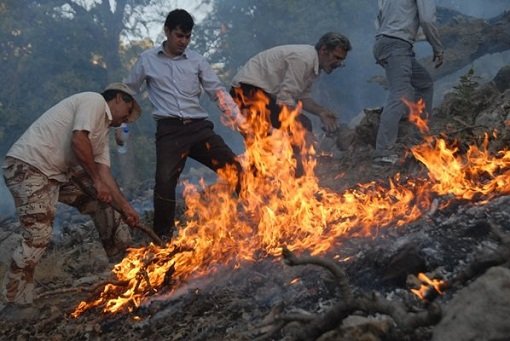 جنگل های «میمه» استان ایلام دچار حریق شد/آتش در حال مهار است