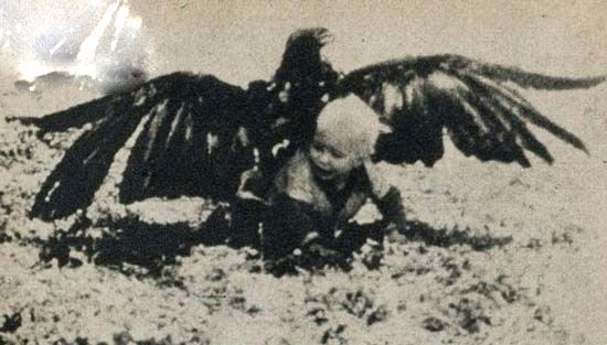 شکار پسر بچه‎ای ۳ ساله توسط عقاب /تصاویر