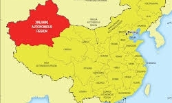 زلزله 6.1 ریشتری غرب چین را لرزاند