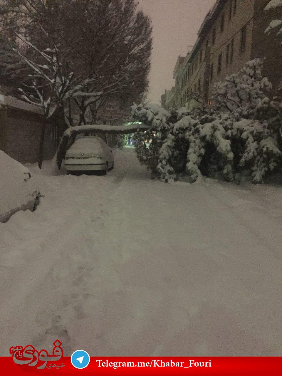 ایرانی خوش‌ شانس‌ برف و کولات اخیر/عکس