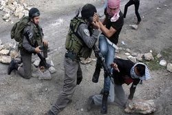 ۲۳ فلسطینی بازداشت شدند