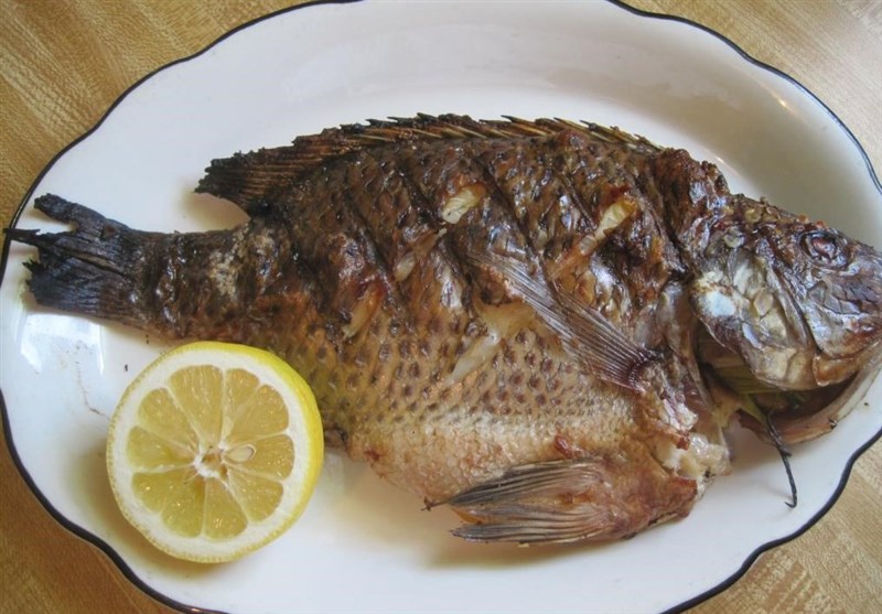 چرا مصرف ماهی "تیلاپیا" خطرناک است