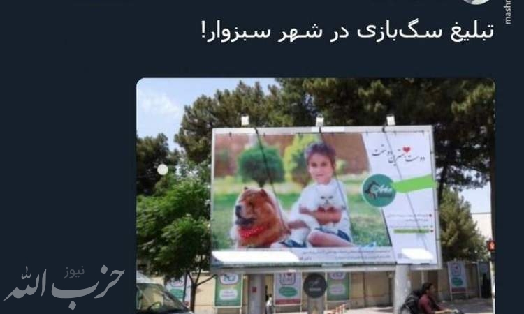 تبلیغ سگ‌بازی در سبزوار