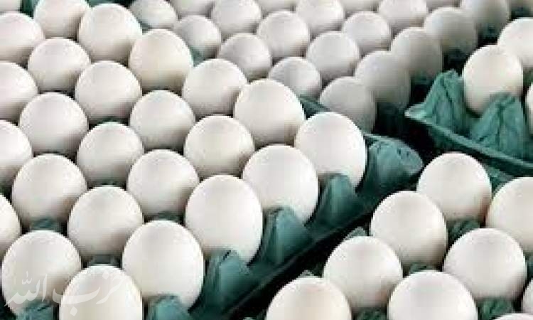 اختلاف یک هزار و ۳۰۰ تومانی تخم مرغ با قیمت مصوب