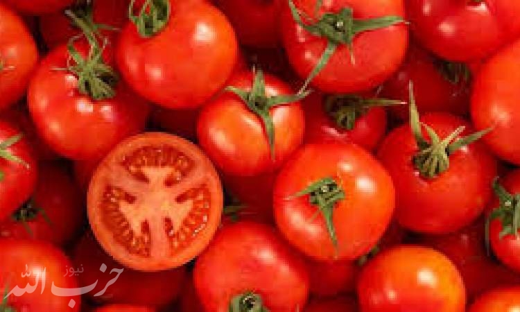 سقوط ۱۰۰ درصدی قیمت گوجه فرنگی در بازار / لیموترش میناب ۷ تا ۱۳ هزار تومان