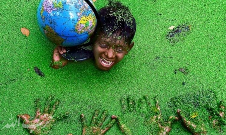 برندگان مسابقه عکاسی محیط زیست ۲۰۱۹‎