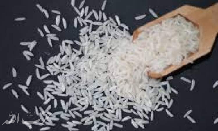 برنج کشت دوم "سمی و سرطان‌زا" است