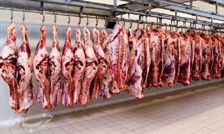 گوشت گوسفندی ۱۵ هزارتومان ارزان شد/شروع قاچاق با افزایش نرخ دلار!