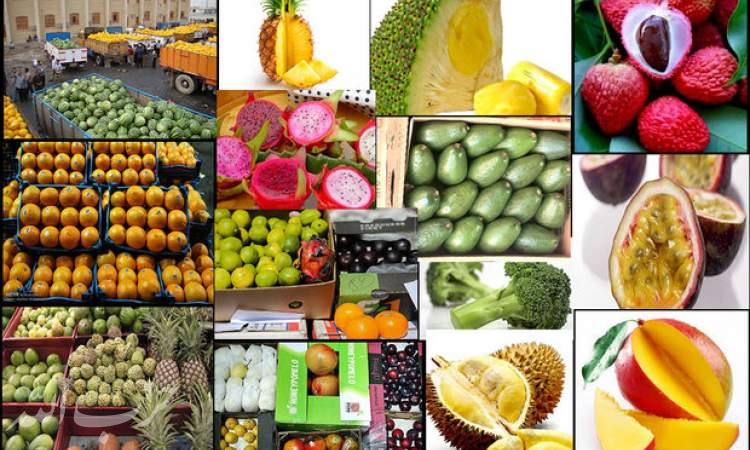 بازار داغ برای میوه‌های ممنوعه در شبکه‌های اجتماعی!