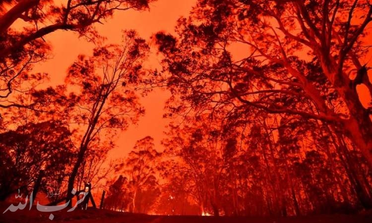 جهانِ پس از آتش‌سوزی‌ استرالیا چگونه خواهد بود؟