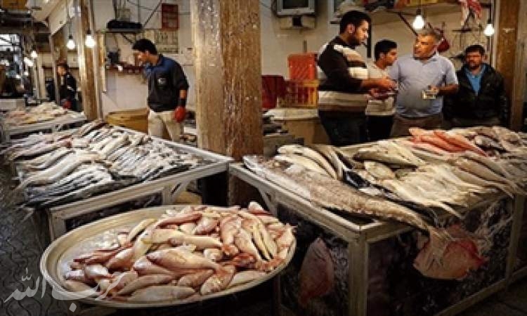 قیمت ماهی در بازار بوشهر ۳ برابر شد!/ سفره مرزنشینان خالی از آبزیان
