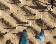 قبرستان جانباختگان بی نام و نشان زلزله ترکیه