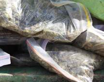 آخرین وضعیت تغییر قانون مبارزه با مواد مخدر