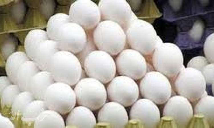 تولید تخم مرغ به یک میلیون تن می‌رسد/ ثبات قیمت تخم مرغ در بازار