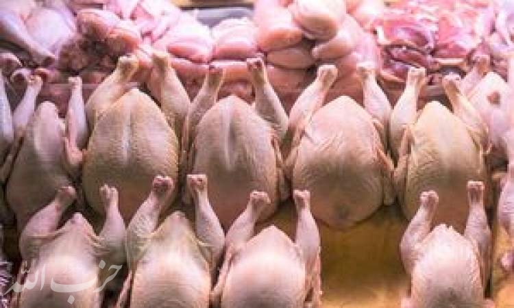 عرضه مرغ با نرخ بالای ۲۰ هزار تومان گرانفروشی است