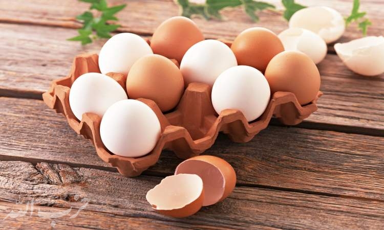 تولید تخم مرغ ۲۰ درصد کاهش یافت