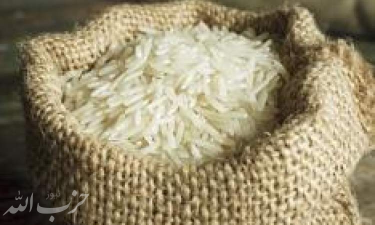 جزئیات تصمیمات جدید ستاد تنظیم بازار برای تعادل‌بخشی به بازار برنج/ آغاز عرضه 30 هزار تن برنج از محل ذخایر
