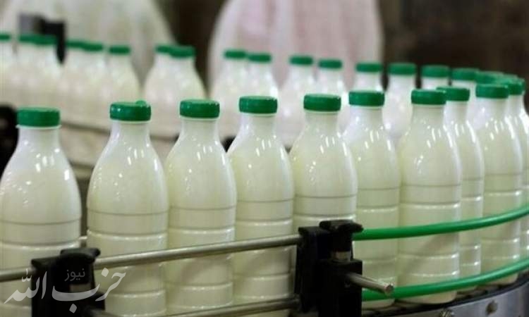 شیر آب شد و قیمت گران/گاوها به دلار شیر می‌دهند