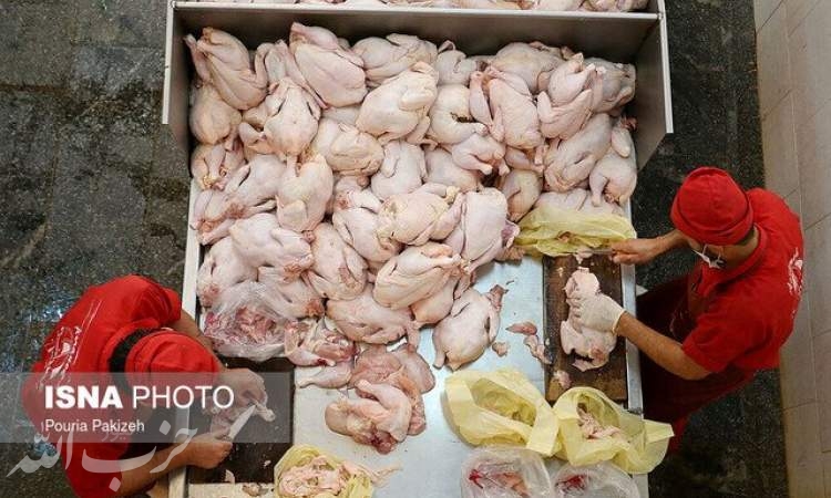 مرغ باید با قیمت ۲۰ هزار و ۴۴۰ تومان به فروش برسد