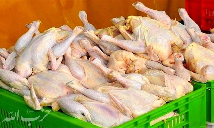 توزیع ۶۰۰ تن مرغ گرم در تهران از امروز