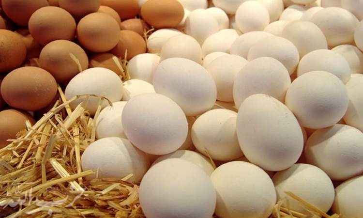 عدم نظارت مسئولان قیمت گذار بر تخم مرغ در بازار/ چرا پول تبلیغ و بسته بندی تخم مرغ را مردم باید بپردازند؟