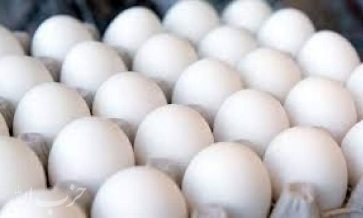 قیمت تخم‌مرغ دوباره گران می‌شود؟