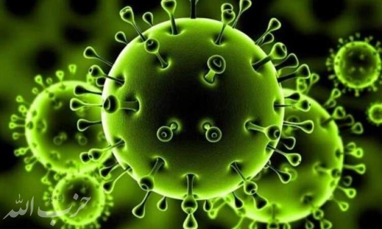 شناسایی ۷ گونه جدید ویروس کرونا حاوی موتاسیون در آمریکا