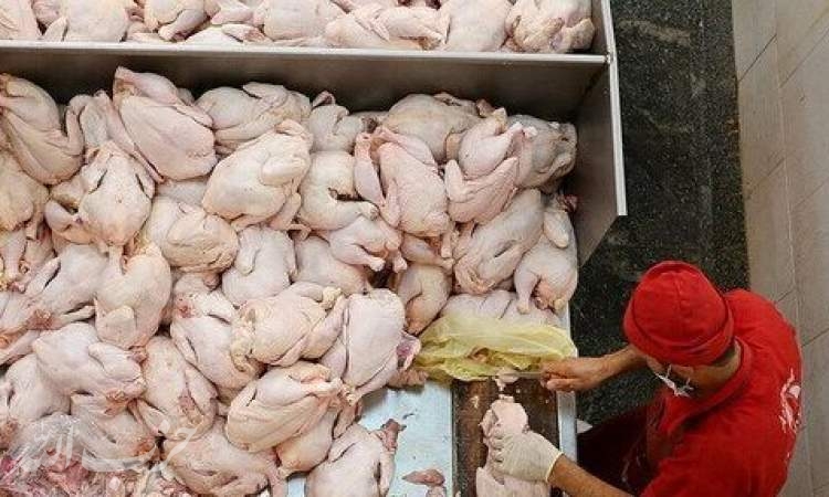 پیش‌بینی افت شدید قیمت مرغ