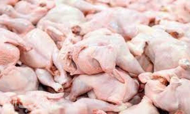 افزایش ۲۵ درصدی تولید مرغ/ بازار مرغ تهران به زودی به آرامش می‌رسد