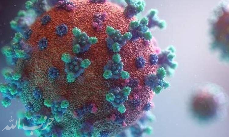 گونه آفریقایی؛ خطرناک‌ترین جهش کووید۱۹ / احتمال لزوم تزریق سالانه واکسن کرونا