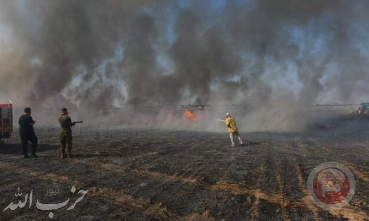 آتش‌سوزی در عسقلان پس از سقوط بالن‌های آتش‌زا از غزه