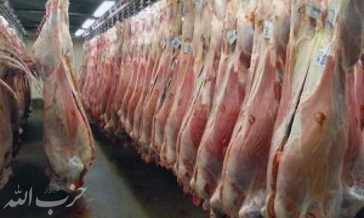 ۲ ابتلا به تب کریمه‌کنگو طی امسال/ خرید محصولات گوشتی تنها از مراکز مجاز