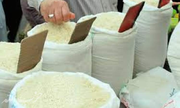 افزایش چشمگیر قیمت برنج در یک سال