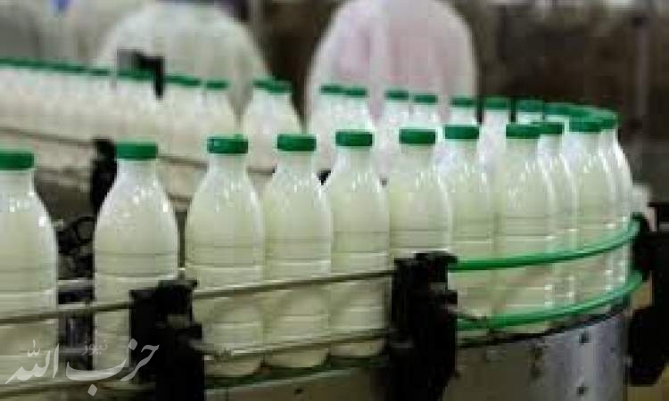 سرانه پایین مصرف لبنیات در کشور/ لزوم تعلق یارانه به شیر و لبنیات
