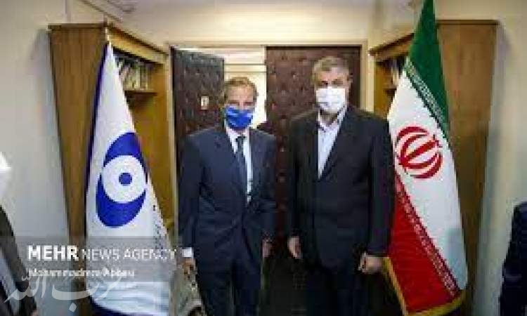 مدیرکل آژانس بین‌المللی انرژی اتمی با محمد اسلامی دیدار کرد