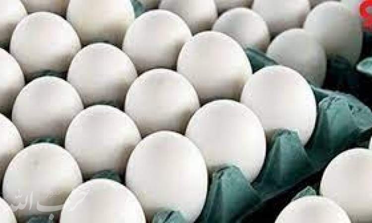 نرخ تخم مرغ شکسته شد؛ بازار آرام می گیرد؟