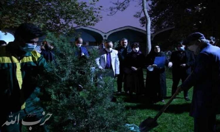 جشن ۵۶ سالگی «سنگلج» برگزار شد/ کاشت درخت به یاد سعدی افشار