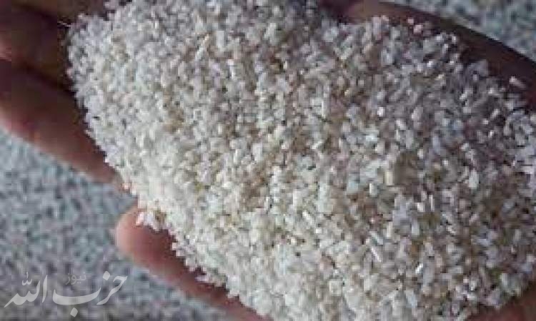 ممنوعیت خروج شالی از خوزستان بازار برنج را متشنج می کند/ قیمت هر کیلو برنج طارم ۴۲ هزار تومان