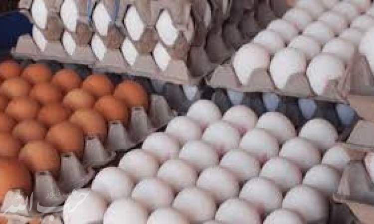 آیا تخم‌مرغ باز هم گران می‌شود؟