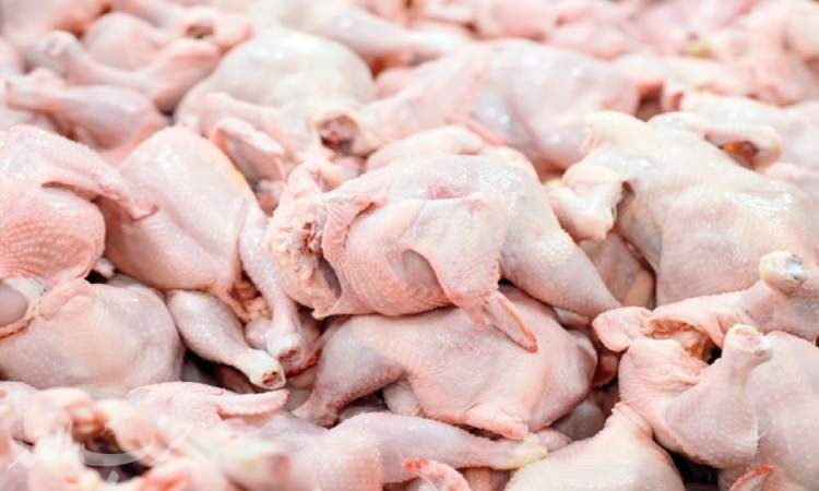 کاهش قیمت مرغ از نیمه آذر در بازار