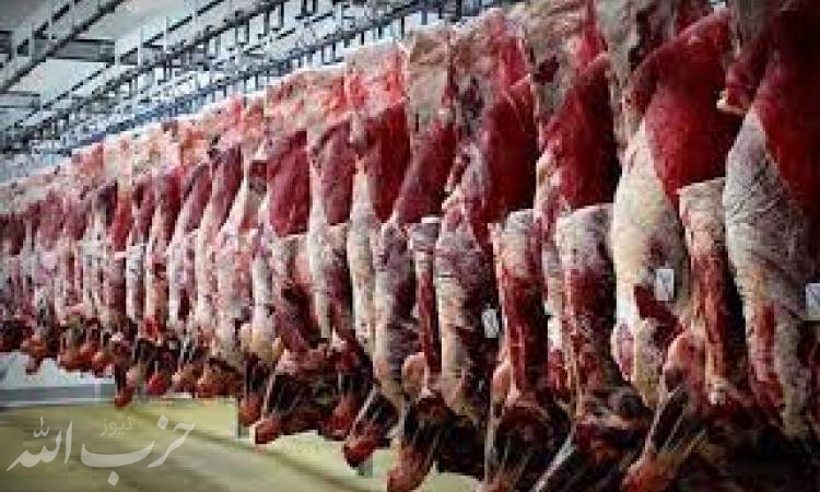 قیمت گوشت قرمز به زودی متعادل می شود