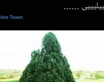 درختی ایرانی که قدمتش ده برابر خیلی از کشورها است!+عکس