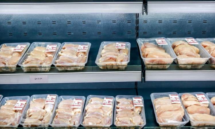 مرغ قطعه‌بندی ۲۰ درصد گرانتر از نرخ منطقی؛ اصلاح قیمت صورت می‌گیرد؟