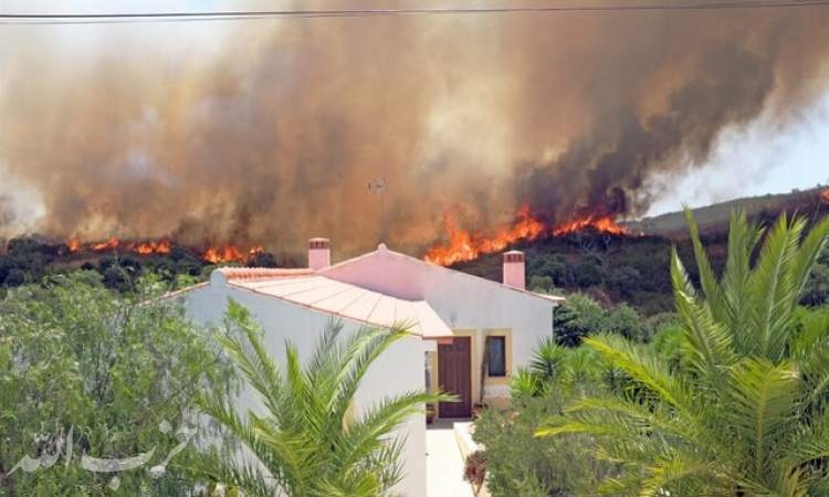 آتش‌سوزی‌های جنگلی می‌توانند خطر ابتلا به سرطان را افزایش دهند
