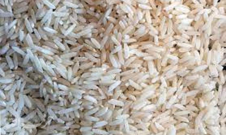 محدودیت‌ها برای واردات برنج لغو می‌شوند
