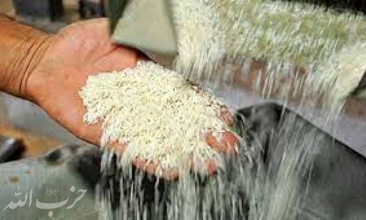 قیمت برنج خارجی ۲۰ درصد کاهش می‌یابد/افزایش ۱۰۰ هزارتنی مصرف