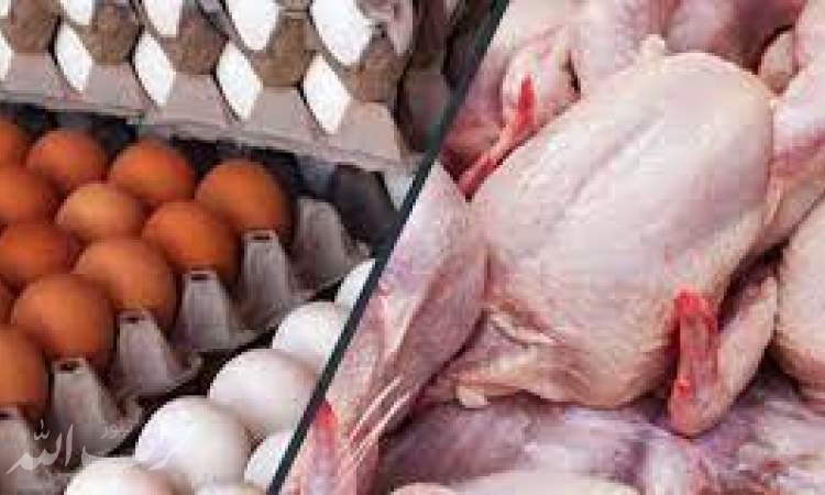 قیمت مرغ و تخم مرغ بعد از اصلاح چند می‌شود؟