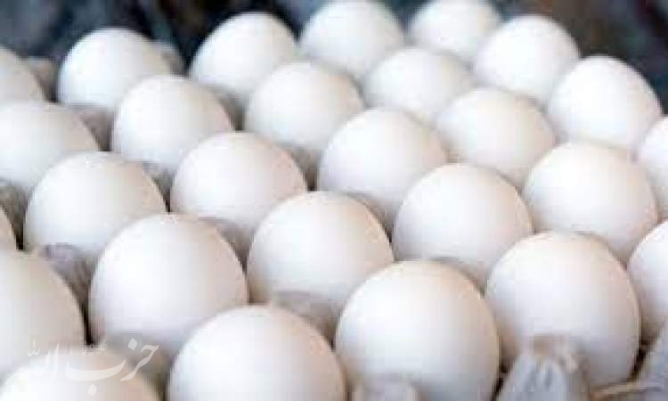 چرا قیمت تخم مرغ بالا رفت