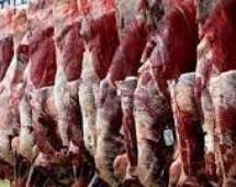 احتمال جلوگیری از توزیع گوشت‌های بی‌کیفیت وارداتی در "میادین میوه‌ و تره‌بار"/مدیرکل دامپزشکی استان تهران:گوشت‌ وارد شده به کشور سالم و بهداشتی است